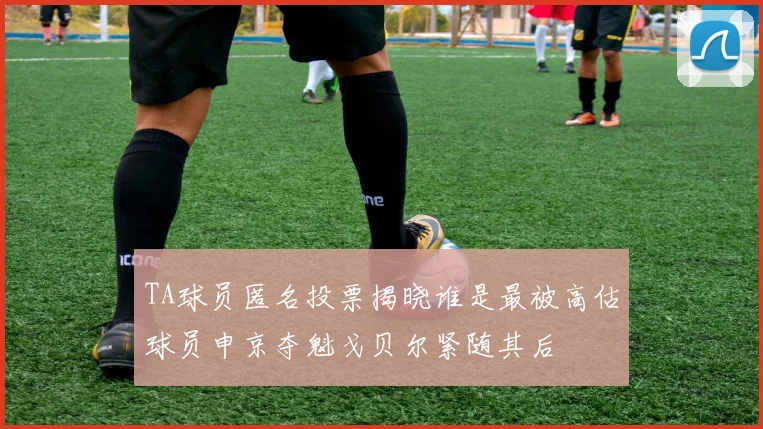 TA球员匿名投票揭晓谁是最被高估球员申京夺魁戈贝尔紧随其后