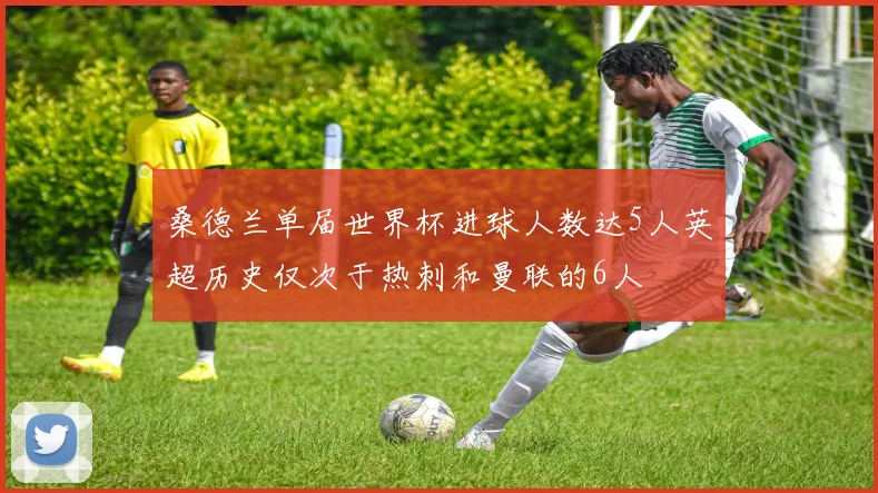 桑德兰单届世界杯进球人数达5人英超历史仅次于热刺和曼联的6人